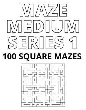 Square Maze Medium Cover Series 1